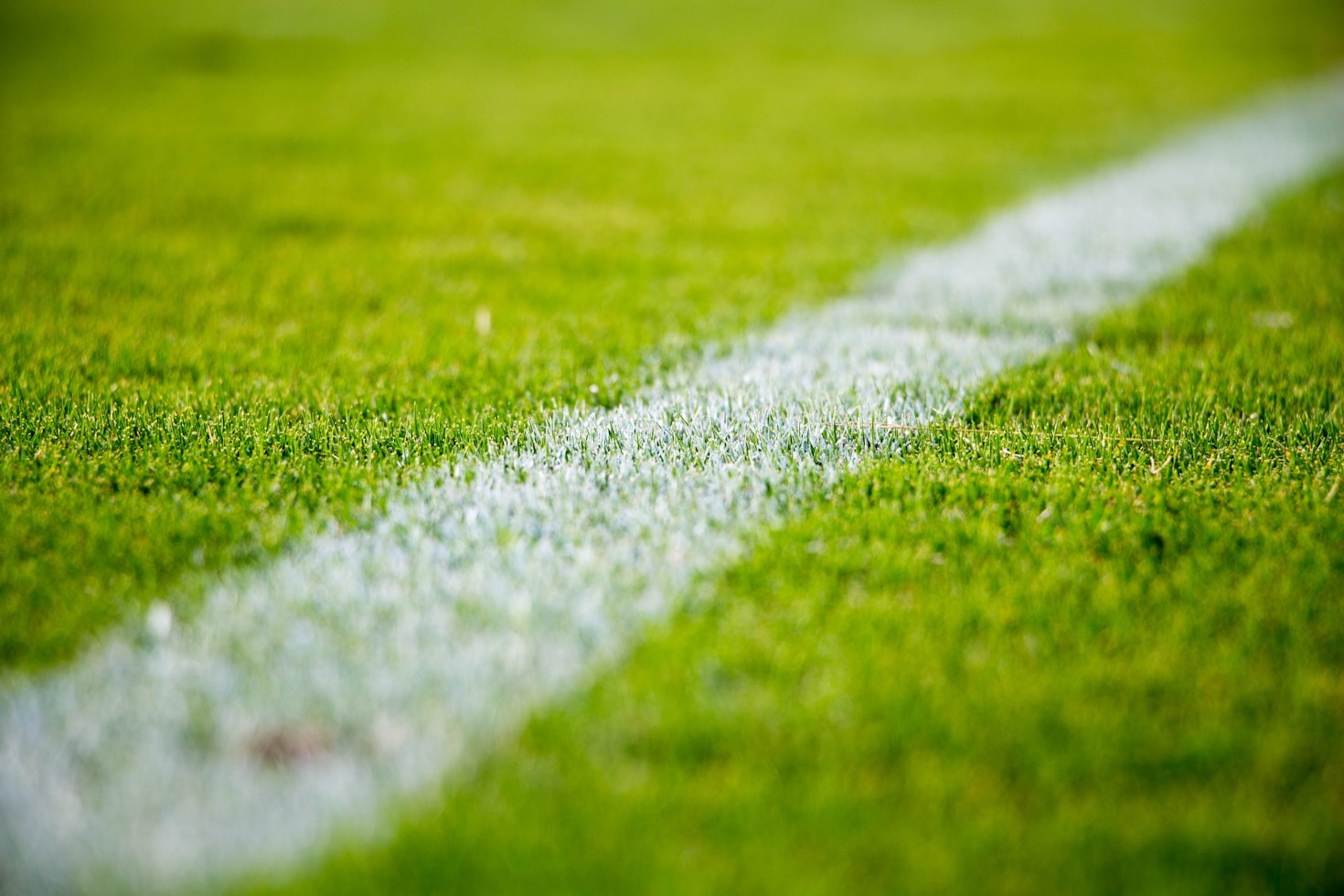 Descubre las estrellas del Mundial 2026